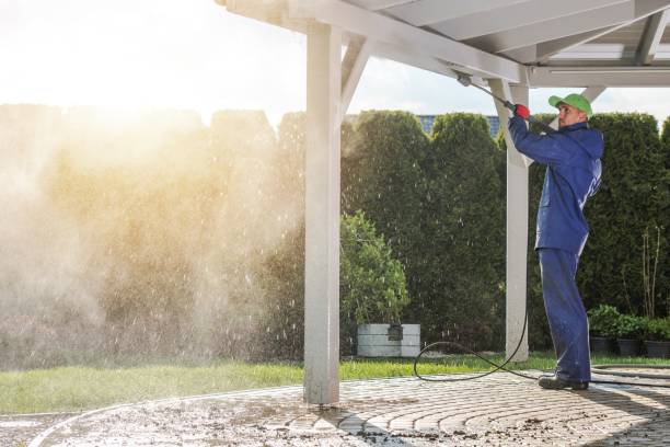 Best Sidewalk and Walkway Cleaning  in Braidwood, IL