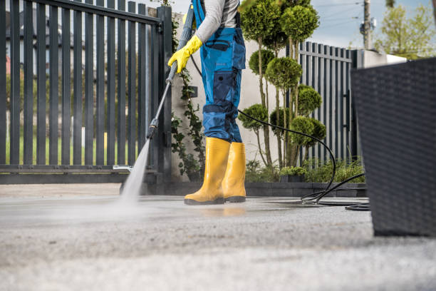 Best Restaurant Pressure Washing  in Braidwood, IL
